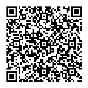 一口血 从大汉的嘴里喷了出來 他的五脏六腑 似乎被一股强大的力量控制了一样 在身体内扭曲了起來二维码生成