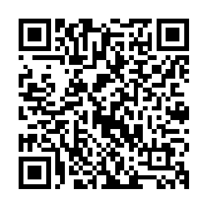 一只一只雪白的兔子从洞里快速的逃出来直接冲进了他的麻袋中二维码生成