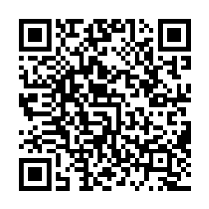 一只三头猿在长着一张鬼面的大树上百无聊赖的四处看着二维码生成