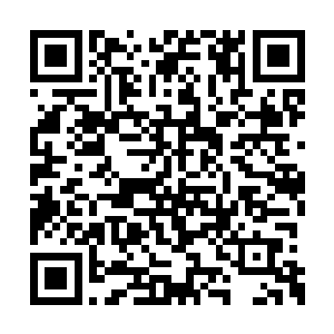 一只二阶的魔兽就算是普通的大圣者都不是对手二维码生成