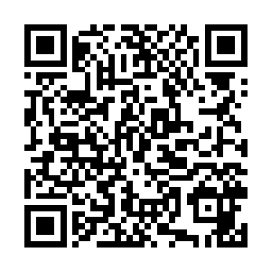 一只从来没有见过的美丽鸟类出现在了所有人的面前二维码生成