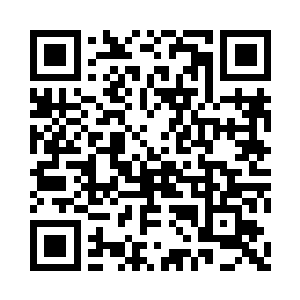 一只体型大过它一倍的蚂蚁忽然出现了二维码生成