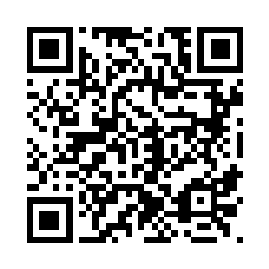 一只体型庞大的绿色巨龟从氤氲中钻了出来二维码生成