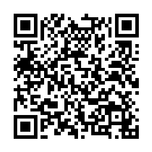 一只体形宛如高山一样庞大的蜘蛛漂浮在半空当中二维码生成