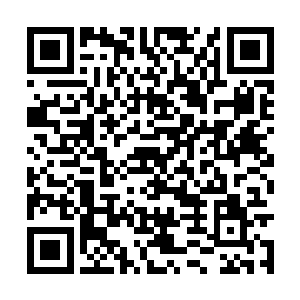 一只偌大的拳头便狠狠的砸在了娜丽丝的脸庞之上二维码生成