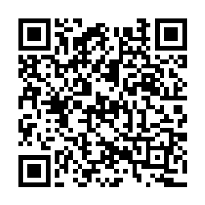 一只刚要攻击他的铁树放下了手里变异出来的刀剑二维码生成