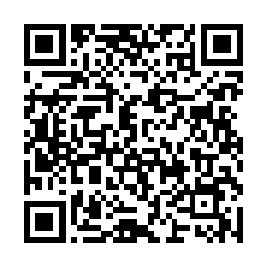 一只化形后期的兔妖竟然敢与一只分神境的妖猿对攻二维码生成