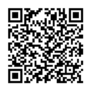 一只化成人形的七阶魔兽当先在虚空中跪了下來二维码生成