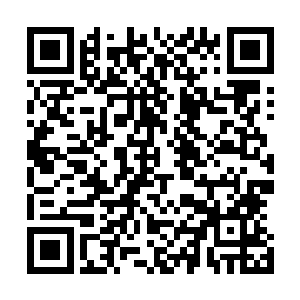 一只化成人形的七阶魔兽目光凌厉的盯着剑尘几人扫视了会二维码生成