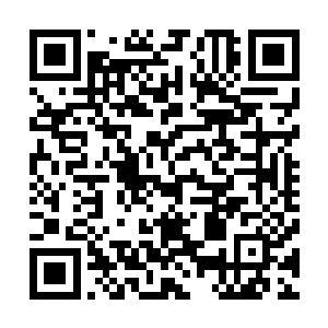 一只只恶魔之眼中飞快勾勒出了一条条错综复杂的透明线条二维码生成
