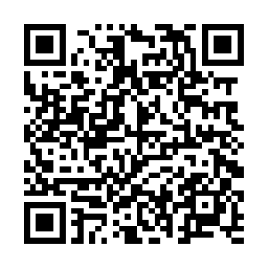 一只只直立的黑色熊人腰上围着半块兽皮之类的装饰二维码生成