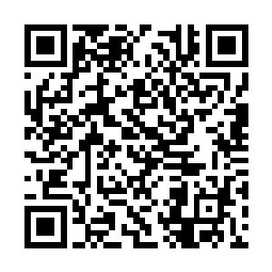 一只吞天鼎便可以在凡尘界镇压妖龙龙脊无尽岁月二维码生成