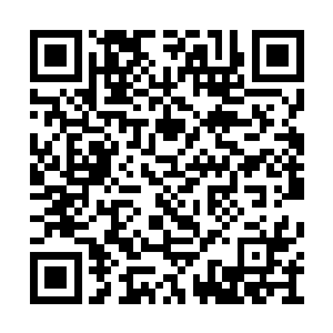 一只小虫子从他的脑袋上快速的钻到了门缝之中二维码生成