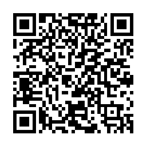 一只差不多一斤多一点的洗剥好的野鸡咚地一声掉落回草药堆里二维码生成