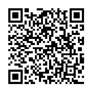 一只巴掌大的白色双尾蝎子从罐子里面的瓦砾里面爬了出来二维码生成