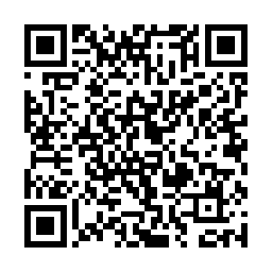 一只恐怖巨大到极点的烛龙法相就出现在了大厅之中二维码生成