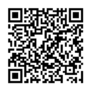 一只恐怖的青色的巨手直接朝着水月的身上笼罩了过去二维码生成