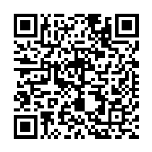 一只手上则打包一样的提着四个人所需的武器――一把短匕二维码生成
