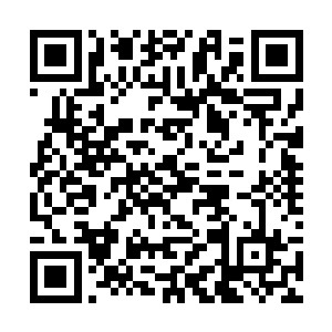 一只手像拎一只小鸡一般的拎起了高大壮硕的杨文兵二维码生成