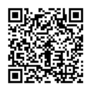 一只手已经摸在了魔族男爵的脑袋上――多么充沛的地元素啊二维码生成