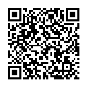 一只手状若不经意的把玩着跟前石桌上盘子内的苹果二维码生成