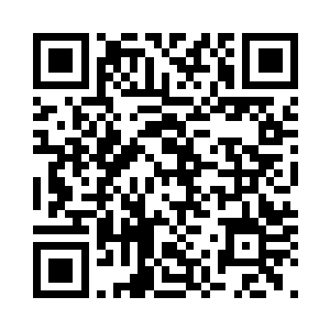 一只手稳稳地扶住了身子微颤的纪妧二维码生成