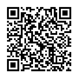 一只有着君临天下气息的金色的鹏王法相开始出现二维码生成