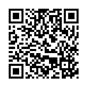 一只毛茸茸的小脑袋从他的衣服口袋里钻出来二维码生成