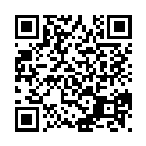 一只洁白的虫蛹便出现在了我们的面前二维码生成