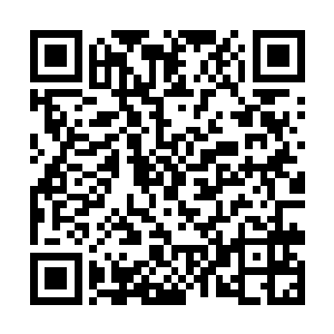 一只海炮就将这位导游从对方的阵营里给硬拉过来了二维码生成