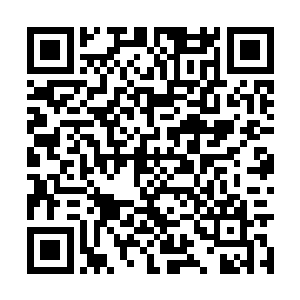 一只灵巧的鱼儿窜来窜去的躲避着鱼群往深处游去二维码生成