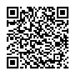 一只生长在地下世界中铁皮蝾螈从黑暗的洞穴之中钻出二维码生成