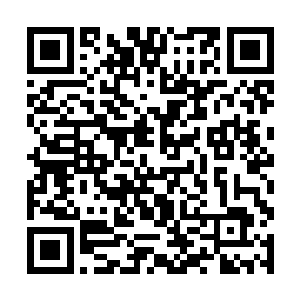 一只由张铁的精神力凝聚起来的大手出现在元素界中二维码生成