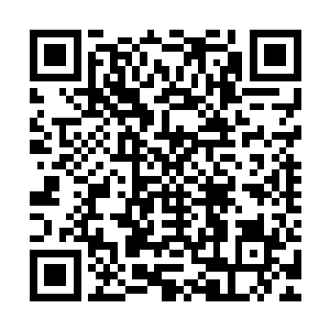 一只白皙好看的大手就已经捏起一块山药枣泥糕送到了她的嘴边二维码生成