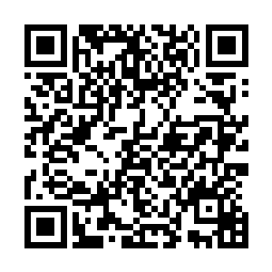 一只笼罩方圆万里恐怖的血色的大手瞬间出现在了虚空之中二维码生成