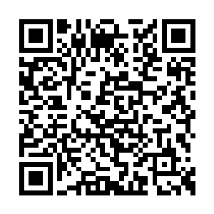 一只类似蛇类的头颅从巨大的孔洞当中伸展开来二维码生成