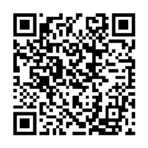 一只粗大的手拿着一条雪白的毛巾猛地朝着她袭来二维码生成