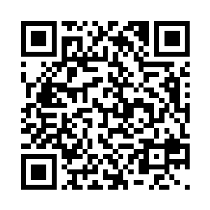 一只缩小了很多很多倍的战狼的虚影二维码生成