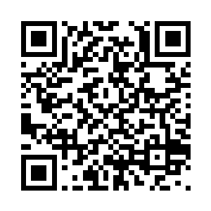 一只美丽到了极点的凤凰展开了羽翼二维码生成