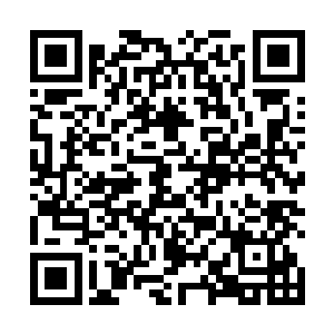 一只身高超过十米的猿猴怪物缓缓从深坑当中走了出来二维码生成