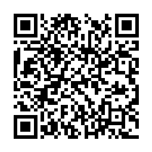 一只银针就已经将它钉在了地上……别说是反抗了二维码生成