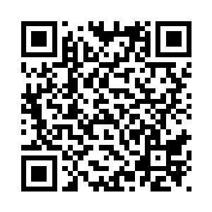 一只飞舞的蝴蝶徐徐落在他的指尖二维码生成