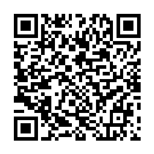 一只鸟肉被这一家子过了一遍之后就剩下白花花的骨头了二维码生成