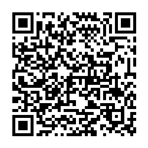 一只鸡一样大的鸟儿虽说带着尾巴的时候挺长的不过尾巴并不能吃啊二维码生成