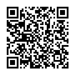 一台台全自动化的小型战争机器逐渐在传送带上成形二维码生成