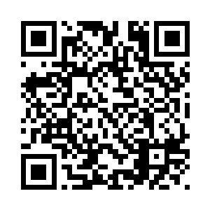 一号首长和主要领导们刚刚登完机二维码生成