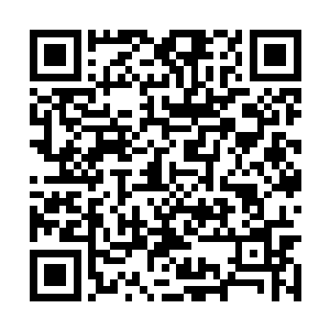 一名一看就是穿叶伯亭军装衬衣略显窄小的大姑娘二维码生成