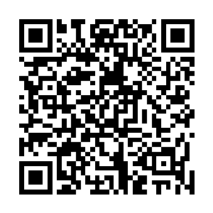 一名三鼎八阶的高手在下三界已经算得上是一个小高手了二维码生成