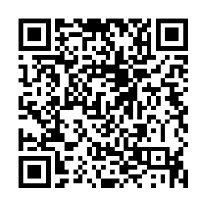 一名五级的半精灵战士――在路上他询问了安娜的等级二维码生成