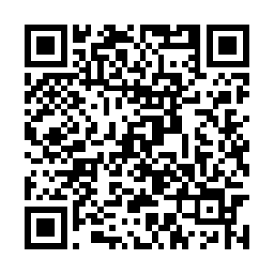 一名位面猎人毫不犹豫的向天空中放出了一道强光二维码生成